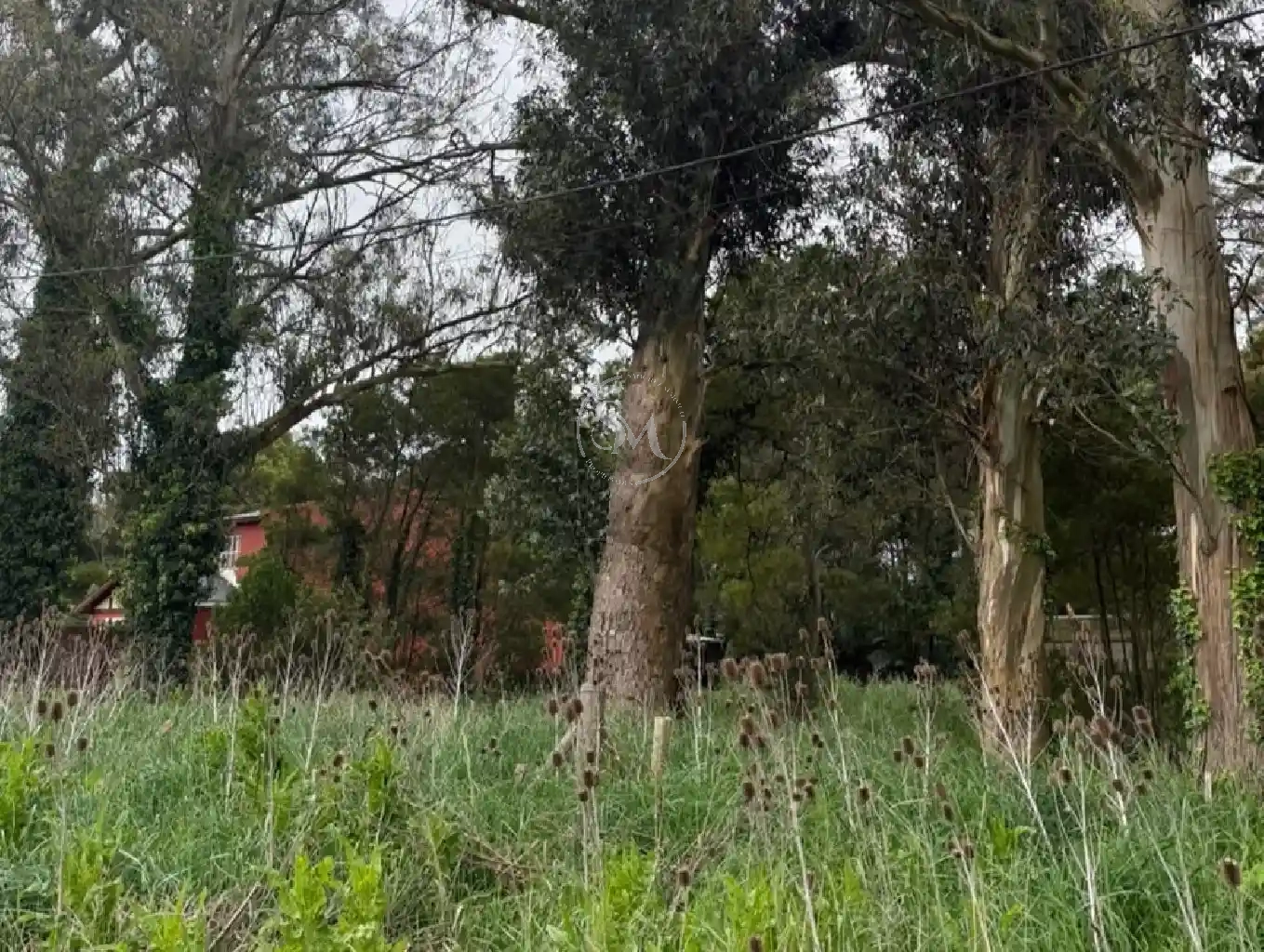 SANCHEZ MARSICO PROPIEDADES - LOTE- FRACCIóN